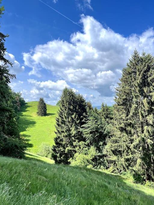 Ferienwohnung Am Hang Mit Malerischer Aussicht Osterode am Harz Buitenkant foto
