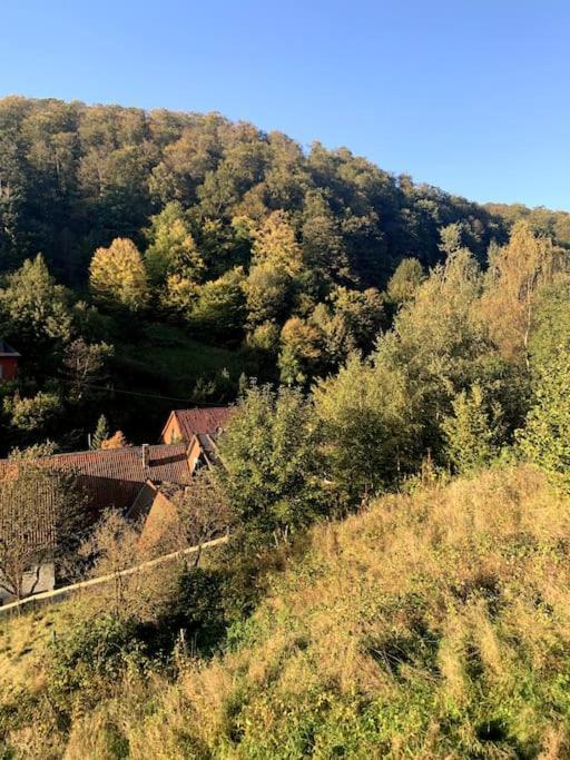 Ferienwohnung Am Hang Mit Malerischer Aussicht Osterode am Harz Buitenkant foto